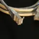 Detailed close-up of a network Ethernet cable showing connectors on a black background.