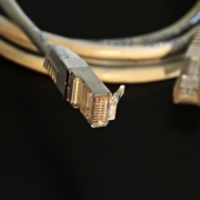 Detailed close-up of a network Ethernet cable showing connectors on a black background.